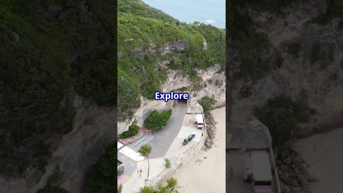 Top 5 Best Places in Okinawa! Don’t forget to like and share this video! Top 5 Best Places in Okinawa! Don’t forget to like and share this video!