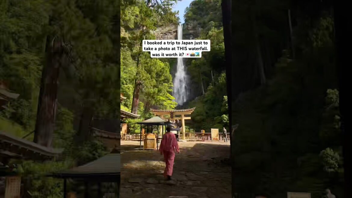 we found the BEST photo spot at 📍Nachi Falls (surprise at the end)  #japan #travelphotographer
