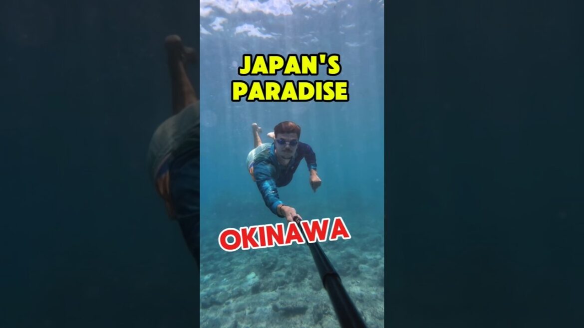 I didn't believe this is #japan #trending #japantravel #travel #worldexplorer #travelblog