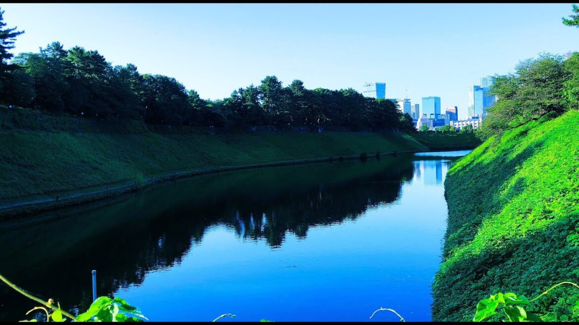 Tokyo Morning Walk 🚶- 6AM Imperial Palace 🌳 (Summer)【4K】_Mental Clarity & Emotional Reset Tokyo Morning Walk 🚶- 6AM Imperial Palace 🌳 (Summer)【4K】_Mental Clarity & Emotional Reset