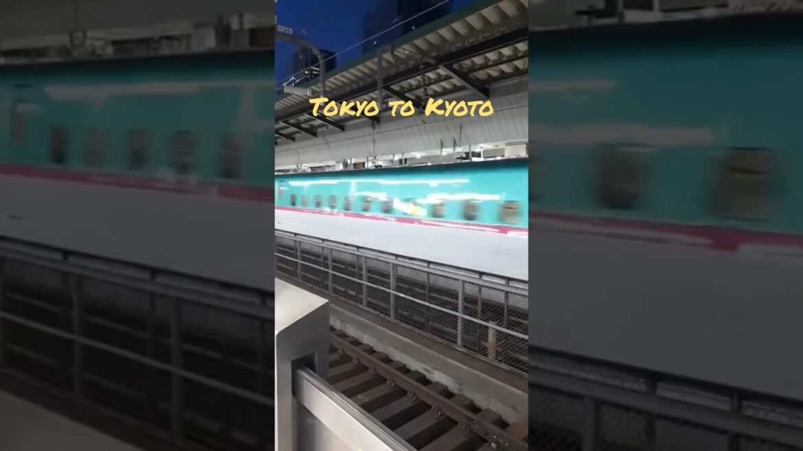 Tokyo to Kyoto Trip#tokyo#japan#bullettrainjapan