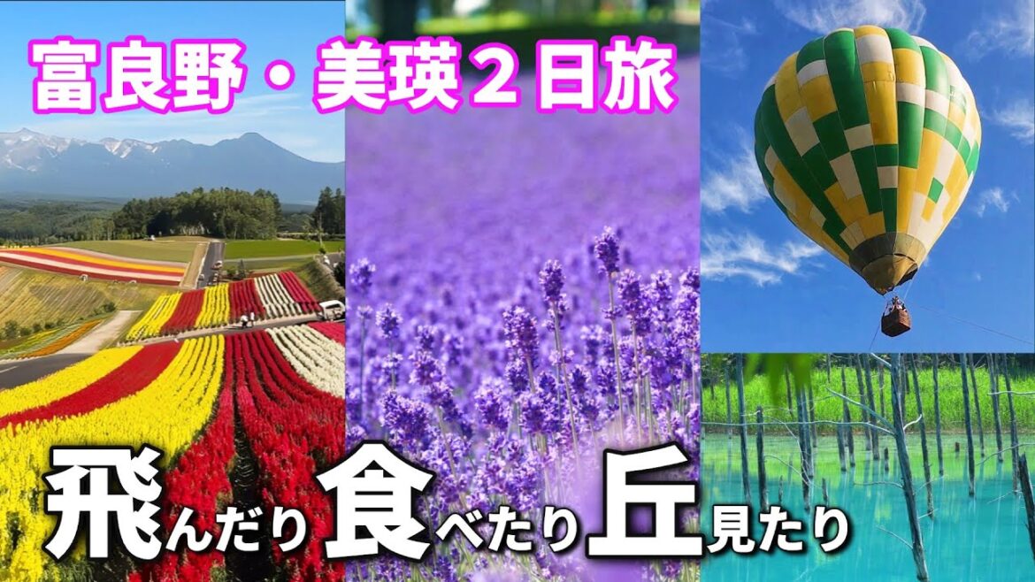 富良野 美瑛 2日旅 気球にグルメに花 丘 池【みやび旅 No2】