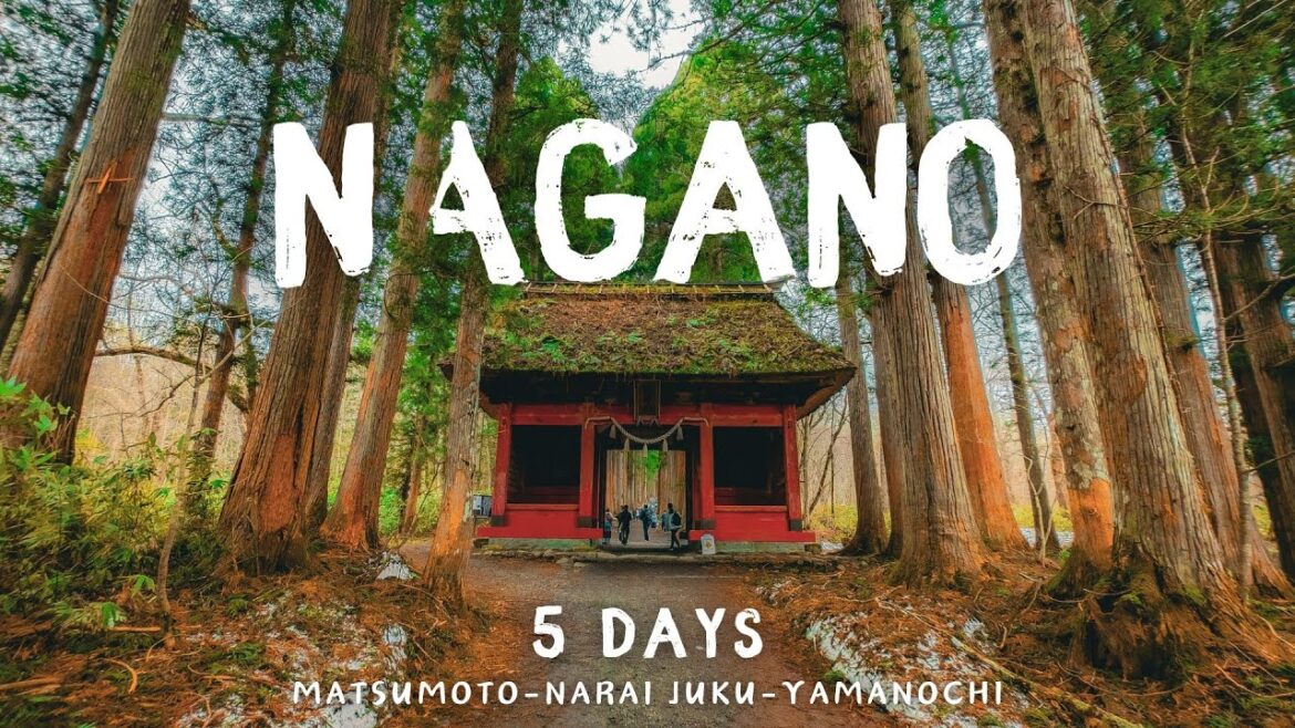 5 Days in Nagano Japan 2025 - Things to do in Matsumoto, Nagano City & Yamanochi Onsen Town