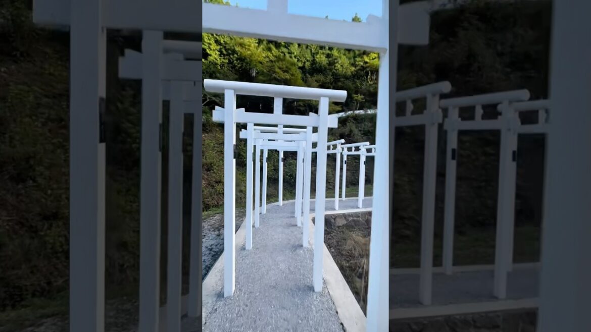 quiet, peaceful shrine in Niimi, Okayama, Japan #shorts quiet, peaceful shrine in Niimi, Okayama, Japan #shorts