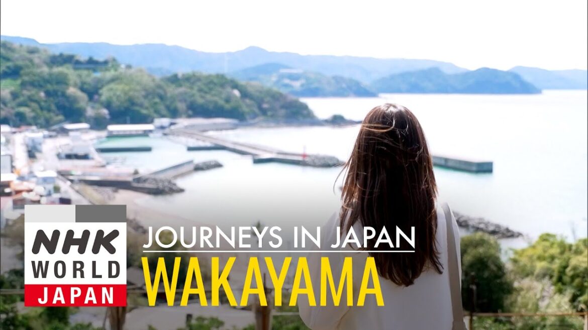 Wakayama: The Cradle of Japan’s Flavors – Journeys in Japan Wakayama: The Cradle of Japan's Flavors - Journeys in Japan