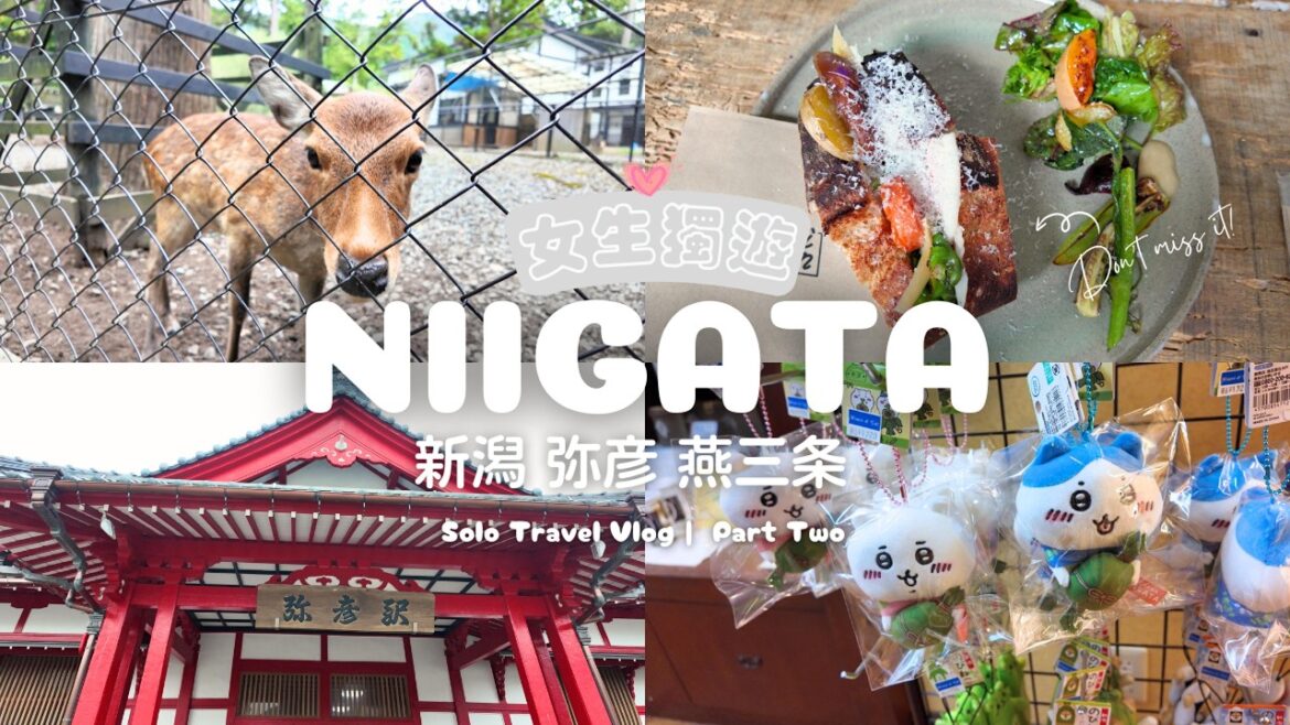 【Travel Vlog】女生新潟獨遊｜彌彥神社・古民宅咖啡店・慢活散策・燕三条購物｜Niigata Solo Travel Part Two｜Chloememories #弥彥 #燕三条 #新潟