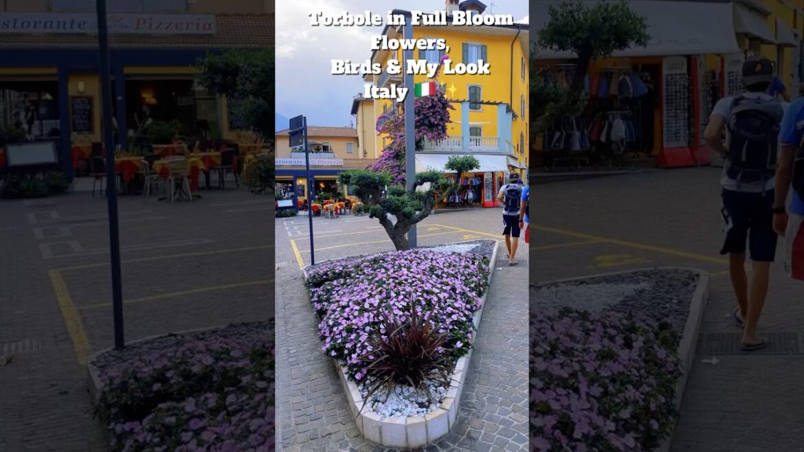 Blooming Beauty in Torbole 🌸🌳 + Lake Views #torbole #italytravel #travelshorts