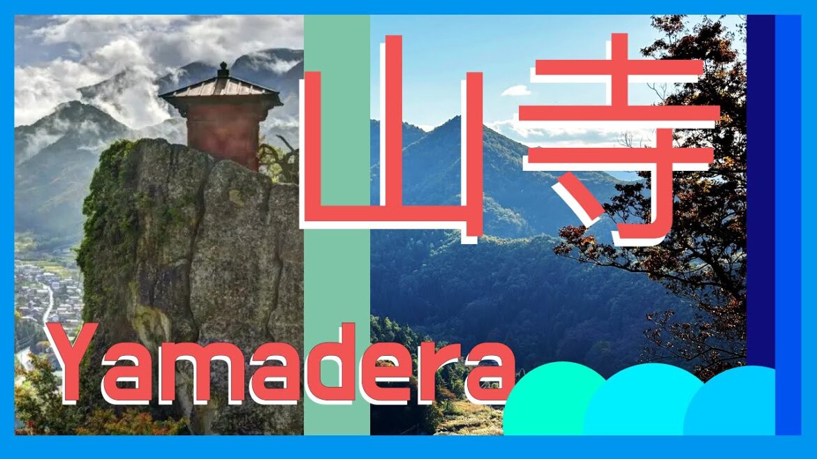 you don’t know it, but you should… you don't know it, but you should...