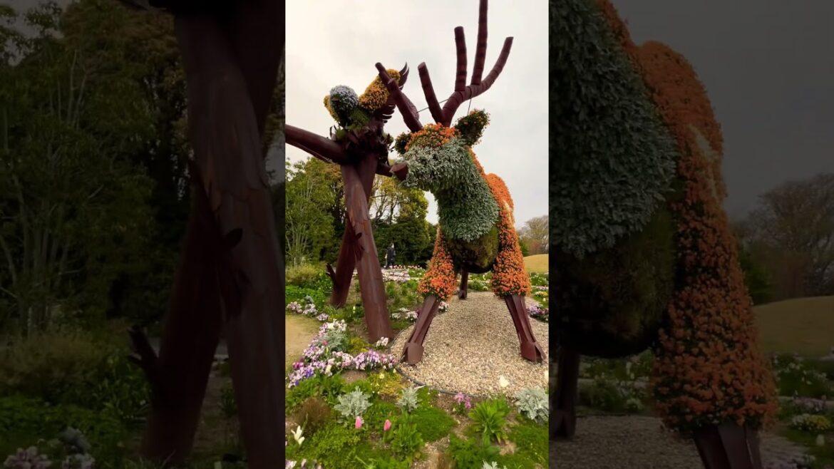 Beautiful flower arrangements Beautiful flower arrangements