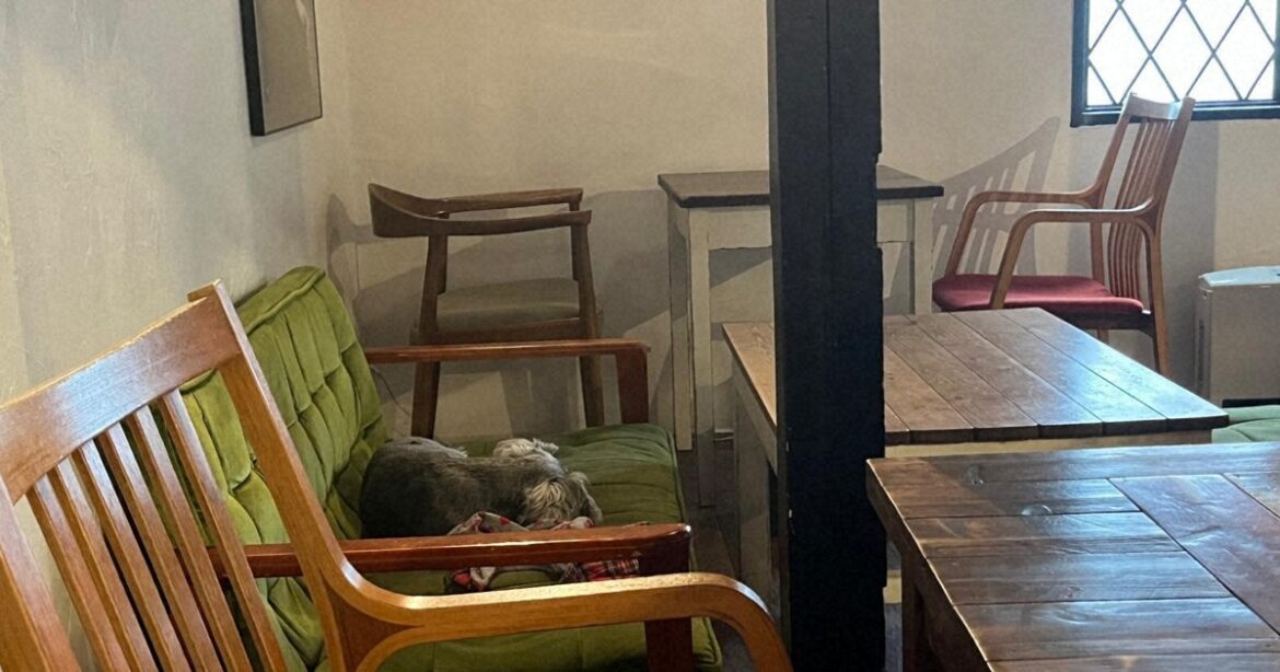 Living in Japan -- an exchange student's view: Treasuring local businesses (Pt. 3)