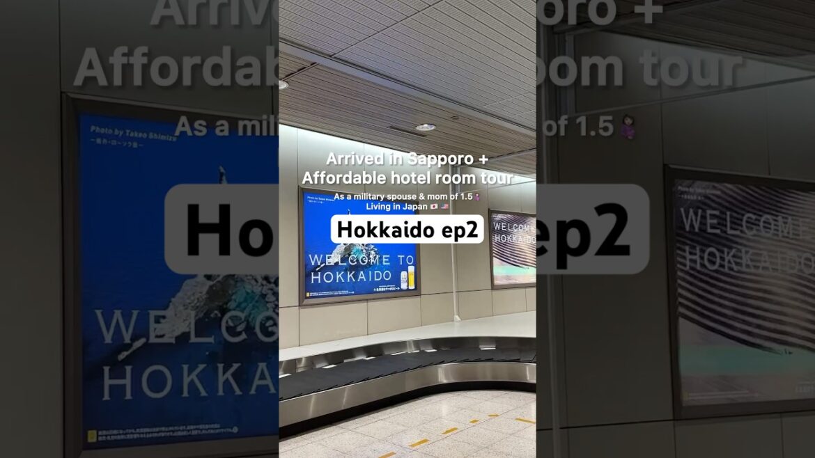 Affordable family friendly hostel in Sapporo Hokkaido 💓 #armyfamily #lifeinjapan #hokkaido