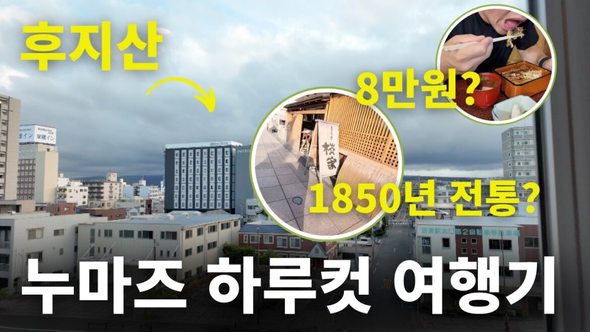 시즈오까 누마즈 하루컷 여행기｜후지산뷰 호텔·아침 산책·1850년 전설의 8만 원 우나기