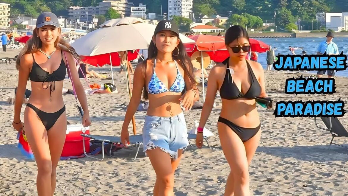 Tokyo’s Hidden Beach Paradise?! Kamakura vs Zushi! Tokyo’s Hidden Beach Paradise?! Kamakura vs Zushi!