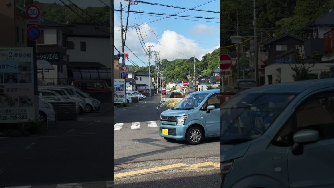 SHIMIZU 🇯🇵 Hike to Yume Terrace (1)