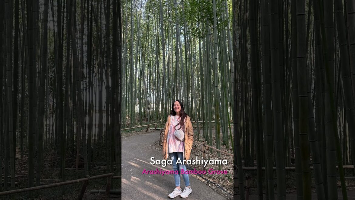 Magical Kyoto in 60 Seconds ๐ฏ๐ตโจ | Japan Travel Short Magical Kyoto in 60 Seconds ๐ฏ๐ตโจ | Japan Travel Short