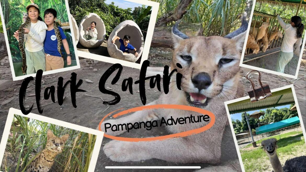 Clark Safari And Adventure Park 🐱 + Food Trip | Quick Family Getaway Less Than 2hrs from Manila! 🇵🇭