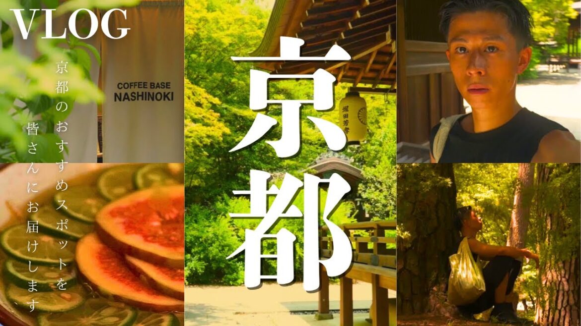 【京都1日旅】SNSで話題のおしゃれスポット&カフェ巡り|緑あふれる映画のようなVlog 【京都1日旅】SNSで話題のおしゃれスポット&カフェ巡り|緑あふれる映画のようなVlog