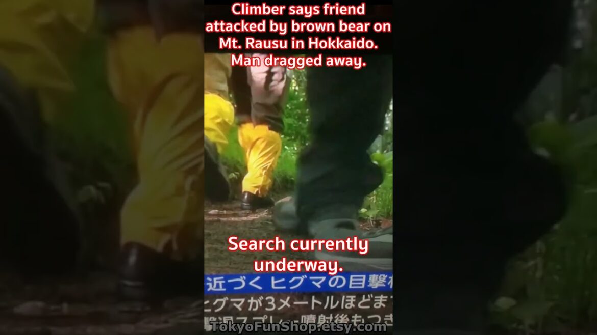 MAN DRAGGED INTO WOODS BY BEAR #hokkaido #shorts #Japan #travel #podcast MAN DRAGGED INTO WOODS BY BEAR #hokkaido #shorts #Japan #travel #podcast