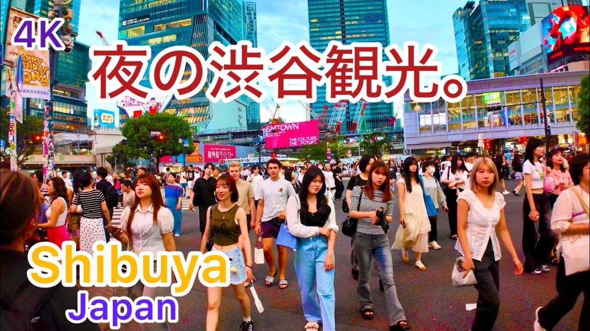 4K Shibuya Evening Sightseeing & Walking Tour in Japan. 4K Shibuya Evening Sightseeing & Walking Tour in Japan.