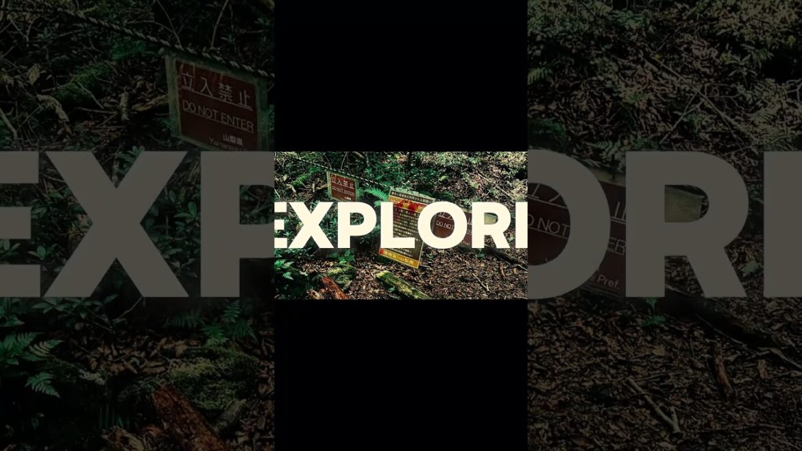 Exploring Aokigahara — Japan’s Suicide Forest. #hauntedjapan #asiahaunted #ghostshorts #realghost