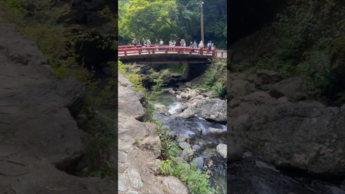 Underrated Japan travel spot ✅ #shortviral #japan #wanderlust #adventuretravel #youtubechannel