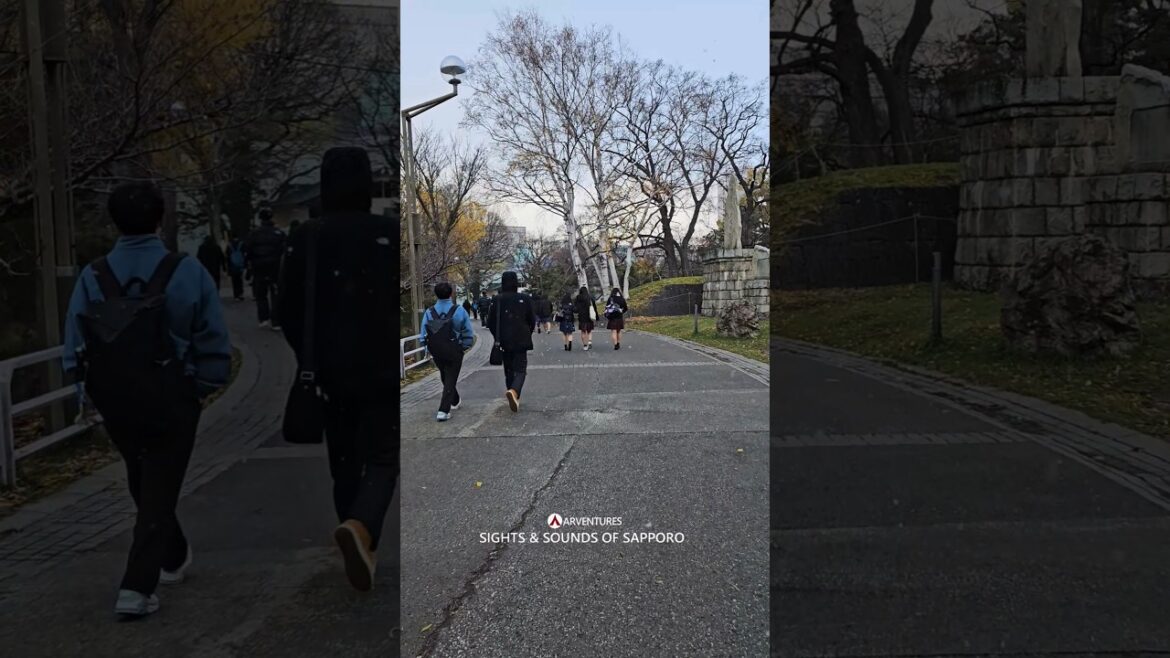 Sights and Sounds of Sapporo #Travel #SightsandSounds #Sapporo