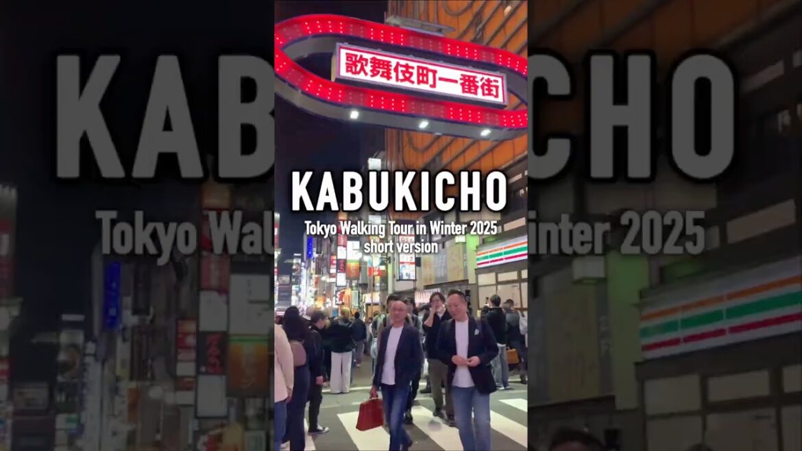 Kabukicho, Tokyo Walking Tour in Winter 2025
