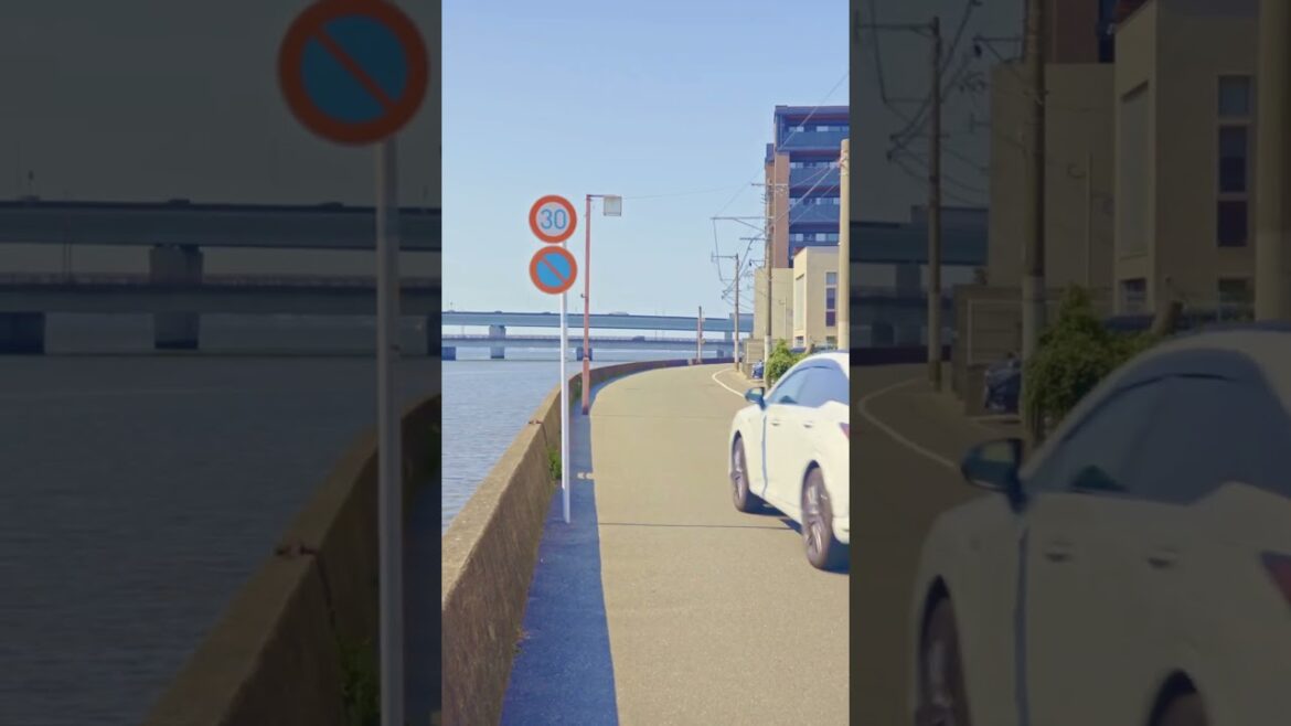 夏の輪郭