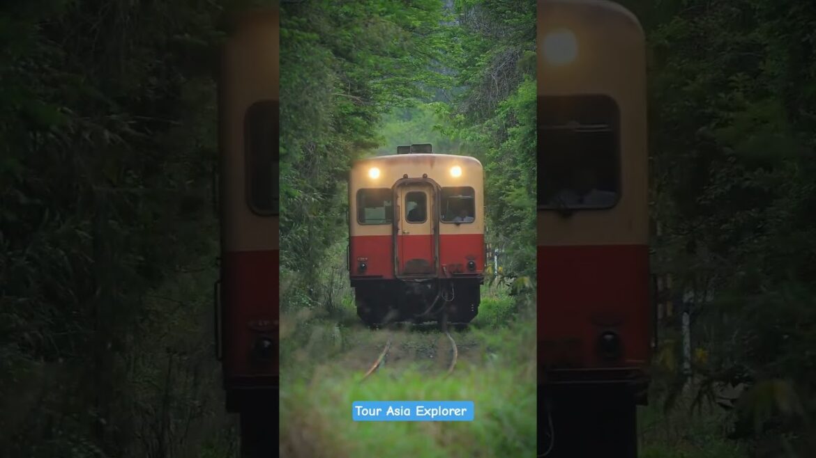 Kominato Railway is a charming local line in Chiba Prefecture, Japan, offering a unique hospitality.