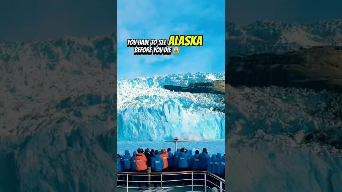 🌊 Wild Alaska 🐻❄️You must see Alaska’s raw beauty once in your life.