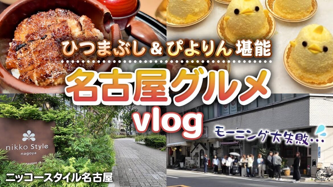 【名古屋旅行Vlog】家族で名古屋めし巡り!ひつまぶし&ぴよりん絶品グルメ記録 【名古屋旅行Vlog】家族で名古屋めし巡り!ひつまぶし&ぴよりん絶品グルメ記録