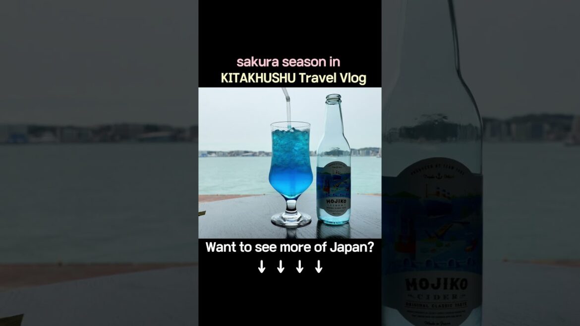 Local Café Culture in Kitakyushu｜北九州のカフェ文化を味わう｜探索北九州在地咖啡風情 #travel #japantravel #japan