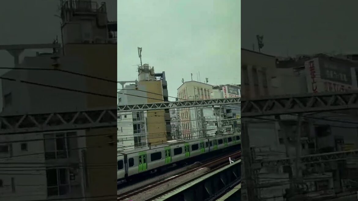 #shinkansen #osaka #tokyo ๐ฏ๐ต๐#asmr #travel #asiantravel #youtube #youtubeshorts #japan #trending #shinkansen #osaka #tokyo ๐ฏ๐ต๐#asmr #travel #asiantravel #youtube #youtubeshorts #japan #trending