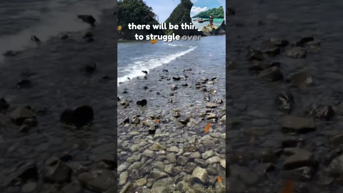 Summertime #japan #ytshorts #beachvibes #travel #myself Summertime #japan #ytshorts #beachvibes #travel #myself