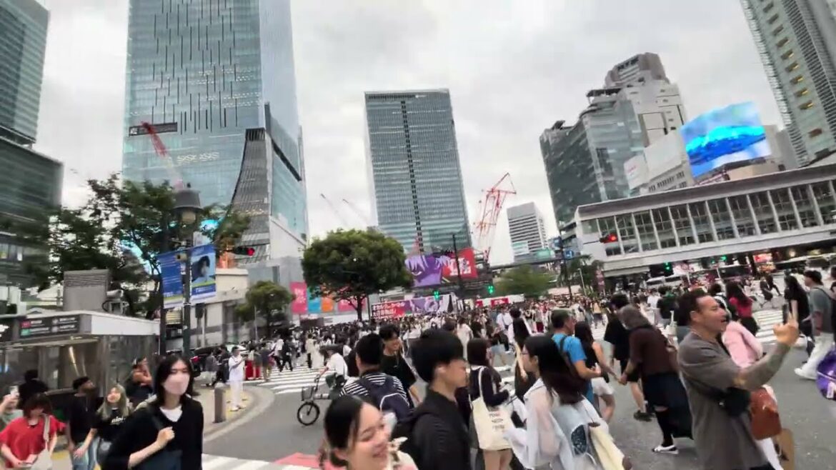 Shibuya Scramble Crossing Japan Tour of Tokyo 2025.07.12 Urban Life, Shibuya