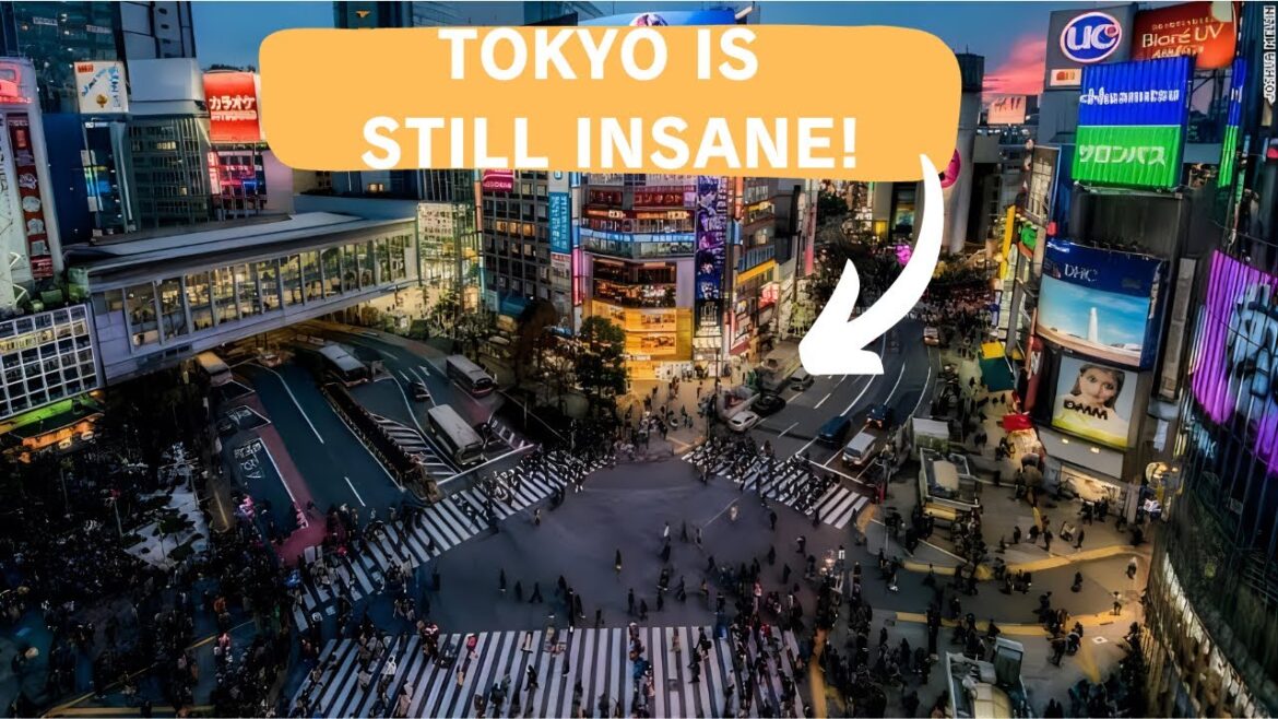 Perfect TOKYO Travel Guide 2025 in 3 Days by Japanese Man Perfect TOKYO Travel Guide 2025 in 3 Days by Japanese Man