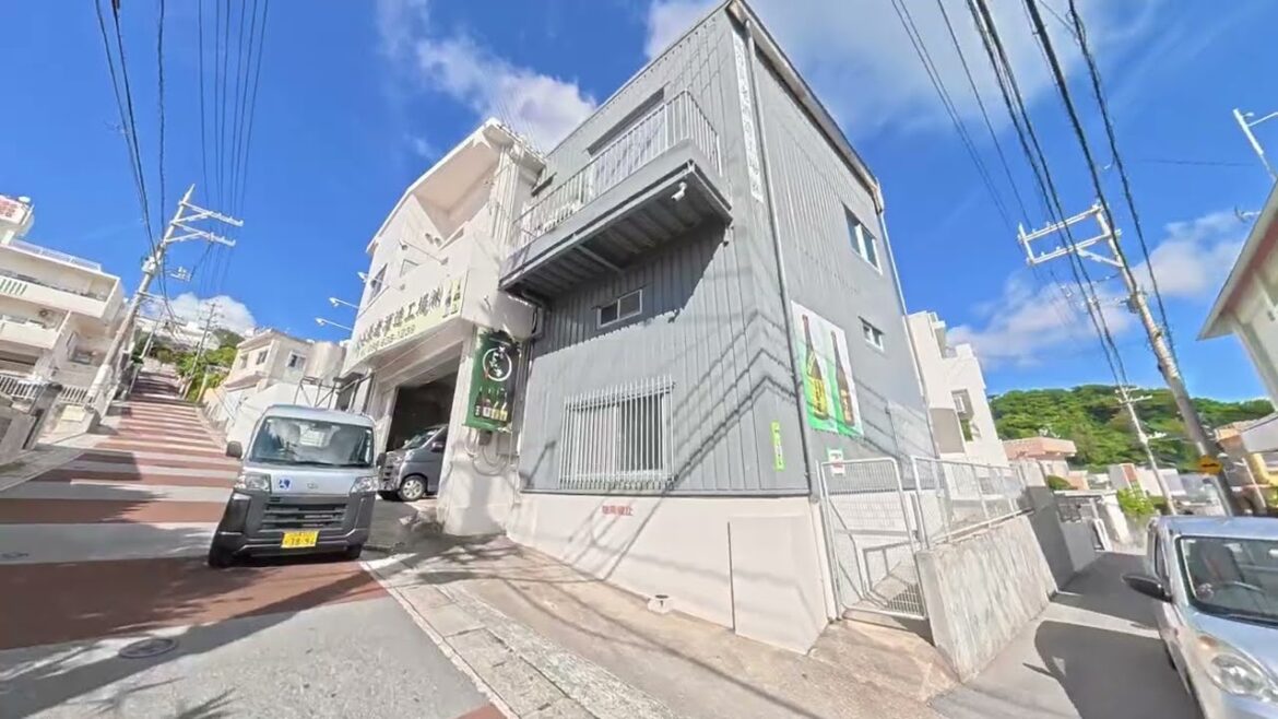 Okinawa, Japan – Village Hillside 4K – Osmo 360 Okinawa, Japan - Village Hillside 4K - Osmo 360