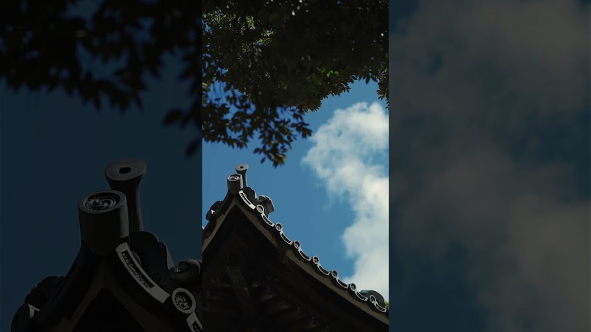 Canon R50V Japanese Summer in 4K