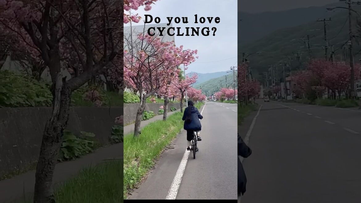 Do you love cycling | Cycling in Hokkaido | Japan lens #nature #nature