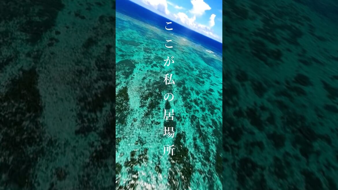 File.38 世界に誇れる沖縄の景色　ここが私の居場所　ロングバージョン