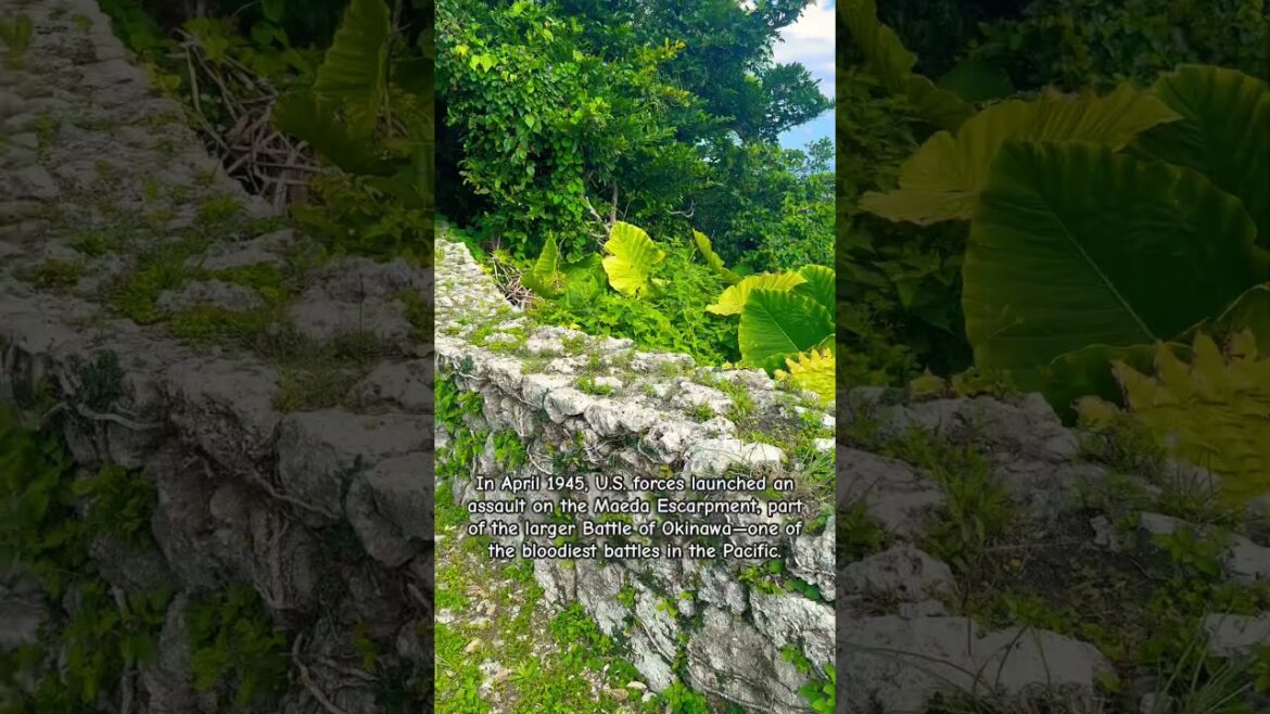 The REAL Hacksaw Ridge #okinawa