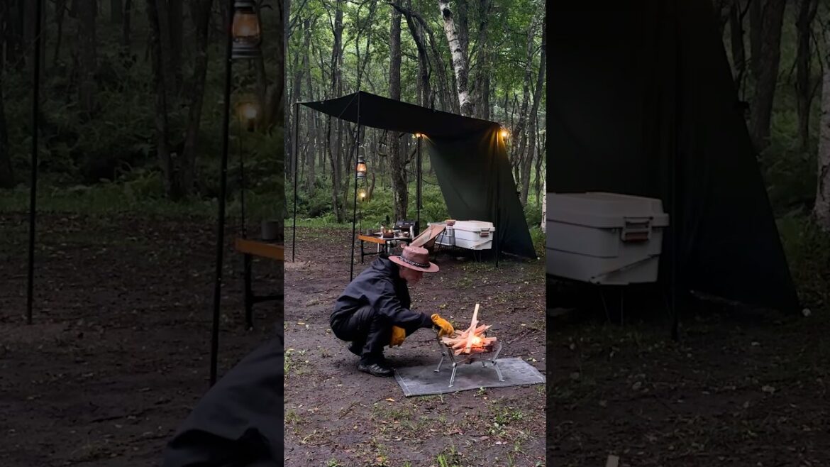 Japan Rainstorm Camp with the World’s Smallest Camper Van – Birch Trees & Tuna Steak