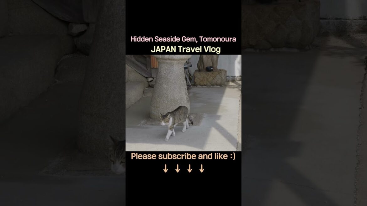 The Real Life Town from Ghibli's 'Ponyo' | ep.2