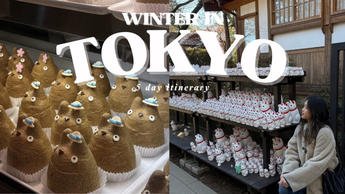 WINTER IN TOKYO | 5 days w/ PRICES, savoy pizza, making chopsticks in kawagoe, exploring kagurazaka