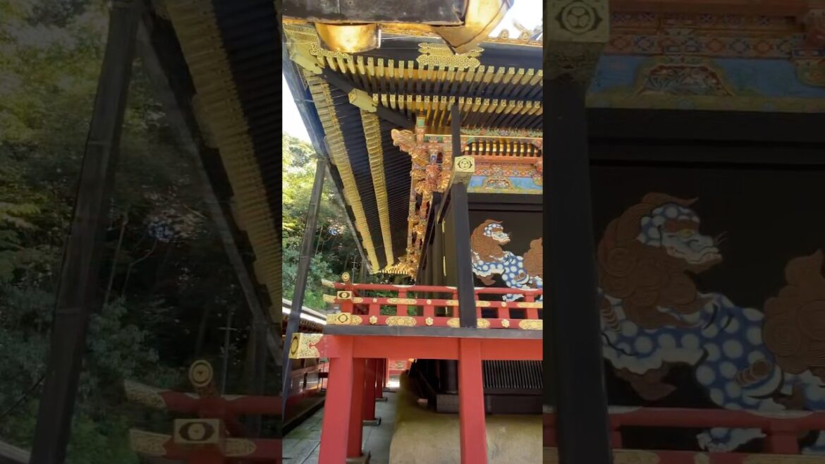 Kunōzan Tōshōgū Shrine #japao#japão#temple#templo#tokugawaieyasu#shizuoka#culturajaponesa #travel