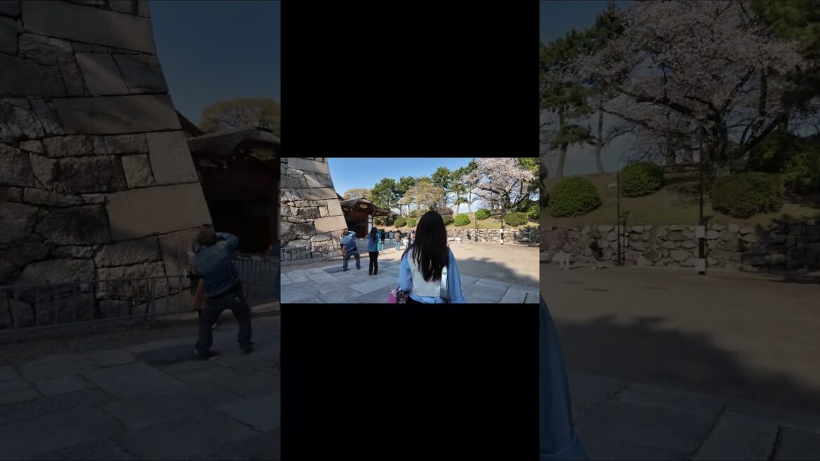 Nagoya castle | Japan