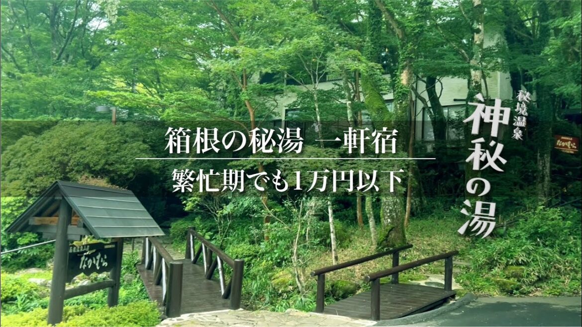 箱根温泉の秘湯　繁忙期でも1万円以下で宿泊できる旅館と日帰り貸切温泉