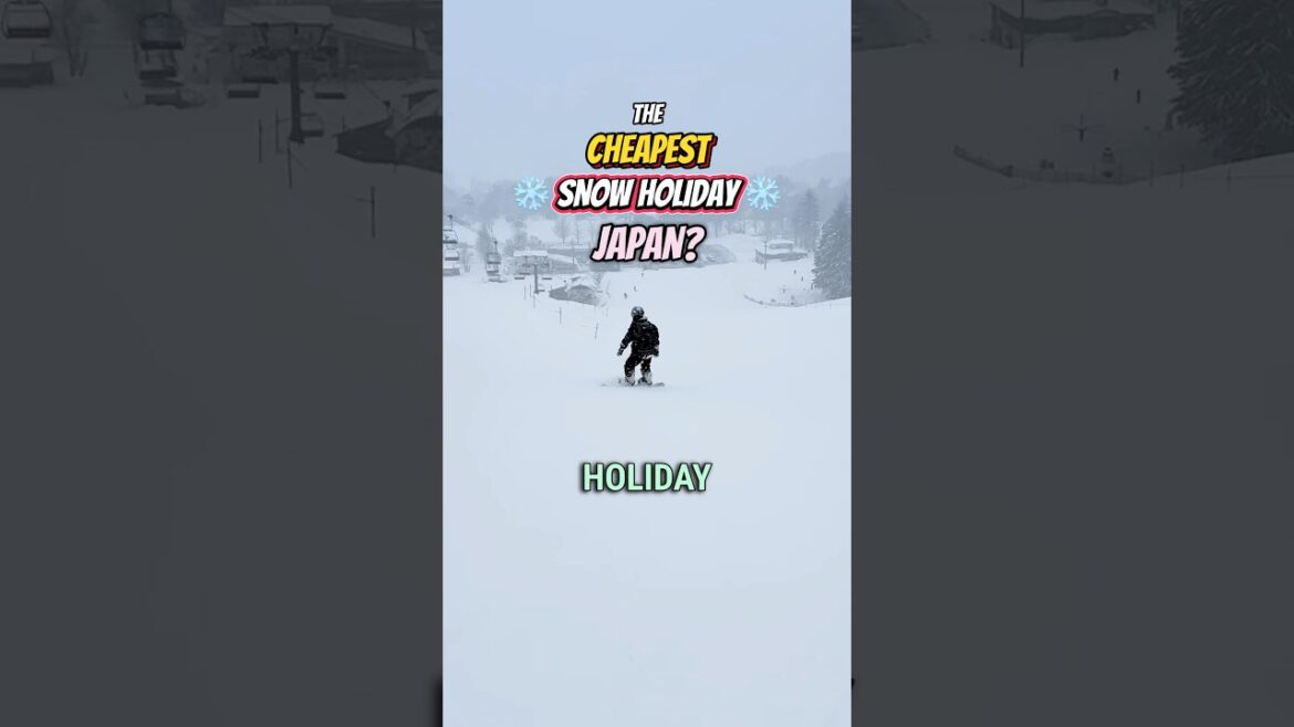 The CHEAPEST Snow Holiday In Japan! 🇯🇵 ☃️