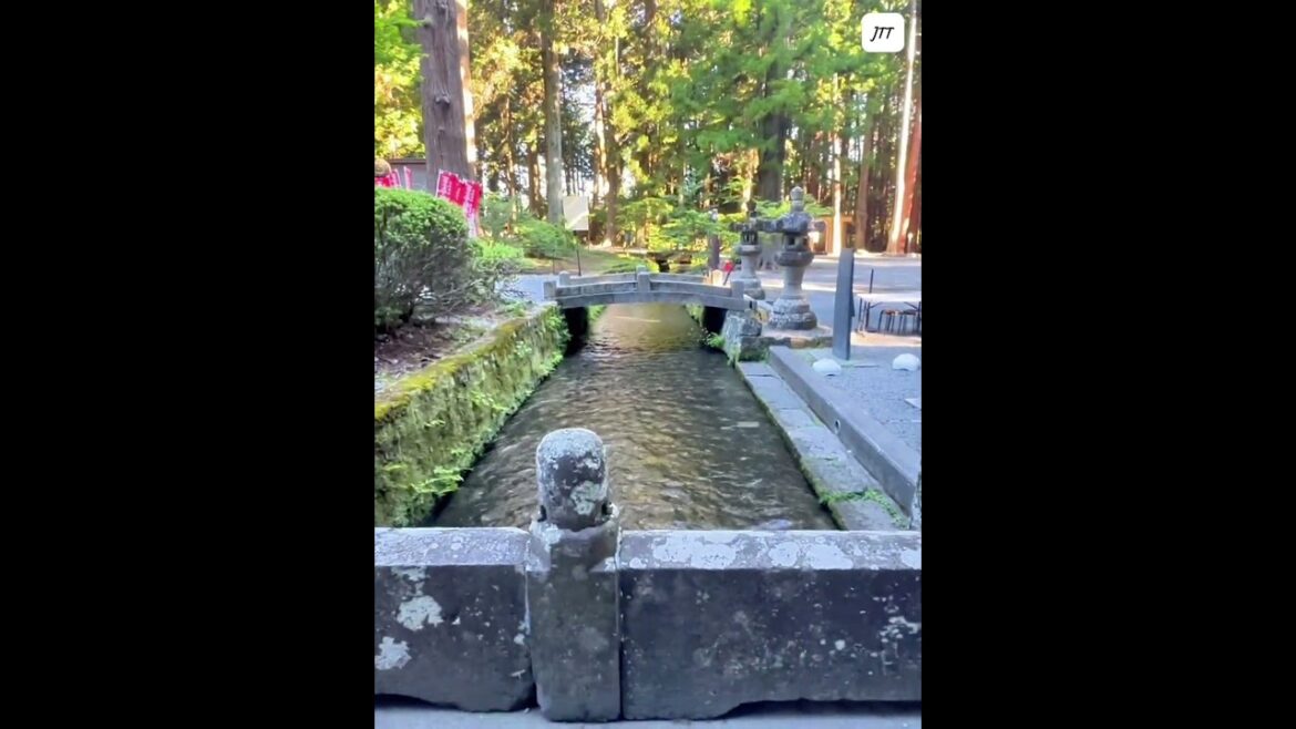 Sacred Path to Fuji  #japan #mtfuji #shrine