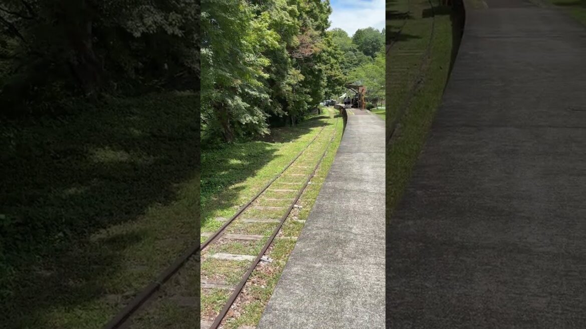 🚉【廃線の旅】真夏の(旧)広瀬駅(名鉄三河線の廃線の駅)|西側ホームの端から、夏も涼しげ、緑がきれい♪|愛知県豊田市|2025年7月 🚉【廃線の旅】真夏の(旧)広瀬駅(名鉄三河線の廃線の駅)|西側ホームの端から、夏も涼しげ、緑がきれい♪|愛知県豊田市|2025年7月